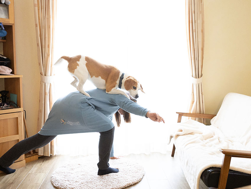 リラクゼーション