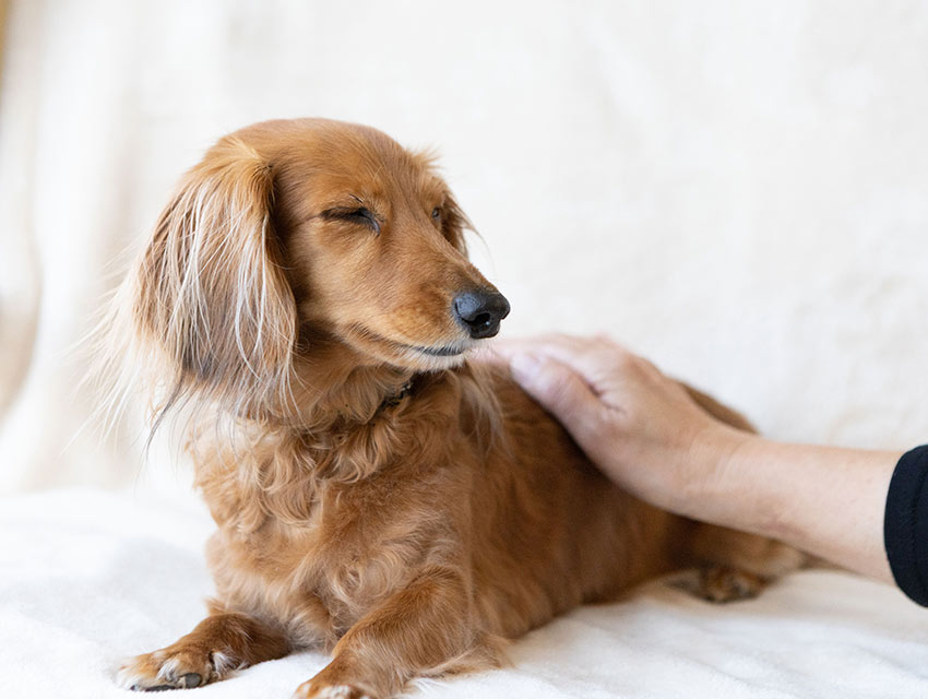 心と身体がリラックス